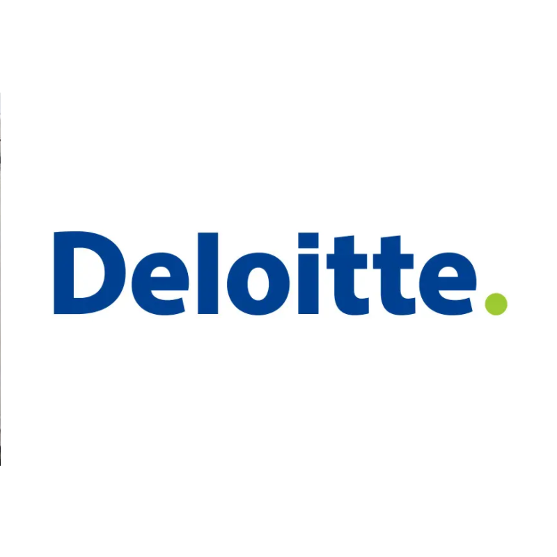 Deloitte: Šiaurės Afrika turi didžiulį „žaliojo vandenilio“ potencialą